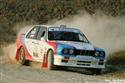 IMG_0841bmw.jpg
