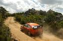 DSC_3510focuszad_oranz.jpg