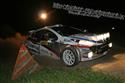 Agrotec New Holland Rally Hustopeče 2008 objektivem R. Kašpárka
