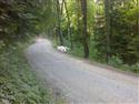 Jarek Orsák a jeho havárie na Saturnus rallye 08, foto týmu