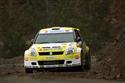 IMG_8623swift.JPG