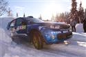 Flodin_SS14subarcumak.JPG
