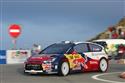 IMG_023loeb.jpg