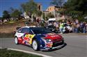 IMG_054loeb.jpg