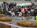 2009_1012Rally-Legend-SanMari0278.JPG