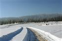 IMG_6521.jpg