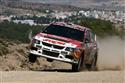 Martinové Prokop a Semerád na Rallye Acropolis 2009, foto týmů
