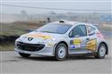 DSC_0263wit_peuge.JPG