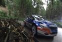 Barum ralllye 2009 a všechny Fabie S 2000, foto D. Kužela