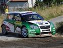 Pozlacená Barumka 2009 pro tým Škoda motorsport, foto týmu