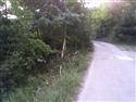 Hustopeče 2009, osudná zatáčka pro Tarabuse..., foto P. Jelínek