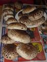 091109_555bedly_m.JPG