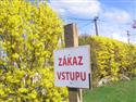 zm_0175.JPG