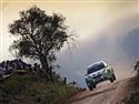 Argentina_2010_20strom.jpg