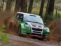 Tovární Fabie S2000 v Brazilii 2010, foto týmu