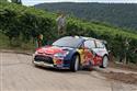 Sordo_RZ18.JPG
