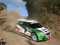 Škoda Motorsport úspěšný na Azorech 2010, foto týmu