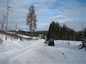 zm_224.JPG