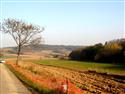DSCN0859.jpg