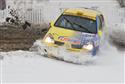 DSC_0019cliosnih.JPG