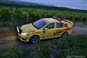 Rallye Hustopeče 2011 objektivem Jana Pořízka