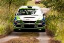 RST_7382.jpg