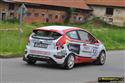 Rallye Posázaví 2011 a flotila Fiest v akci