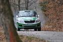DSC_0034fabr2.JPG
