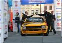 IMG_7367-1b.jpg
