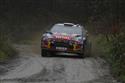 lr_Loeb13GB11e181.jpg
