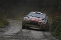 lr_Ogier13GB11e186ogi.jpg