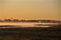 _DSC3750.JPG