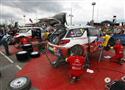 lr_Loeb08Fi11cm110.jpg