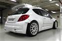 Peugeot Sport vyvj P 207 S2000