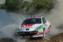 Vedle vytrvalostních závodů Peugeot Sport vyvíjí a nabízí řadu vozidel , určených zkušeným řidičům