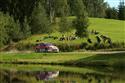 DSC_8691vodaford.jpg