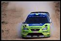 DSC_3456focus.jpg
