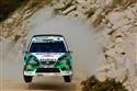 DSC_7459focus_skok.jpg