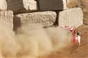 DSC_7516prokop_prach.jpg