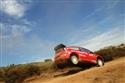 DSC_7579citr_sordo_dopad.jpg