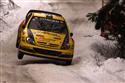 DSC_6457citr.jpg