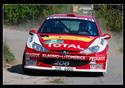 Eurostroj rally Tinov v roce 2007 s rakouskm pohrem