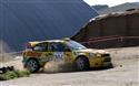 IMG_2985corolla.jpg