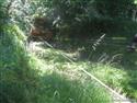 IMG04152.JPG