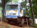 iveco.JPG