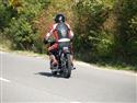 P9297707-1.jpg