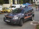 div 081.jpg