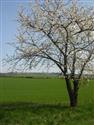 DSCN2139.JPG