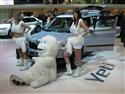 Autosalon Brno 2009 a Škoda objektivem Karla Kolečka
