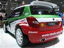 Autosalon Brno 2009 a Škoda objektivem Karla Kolečka